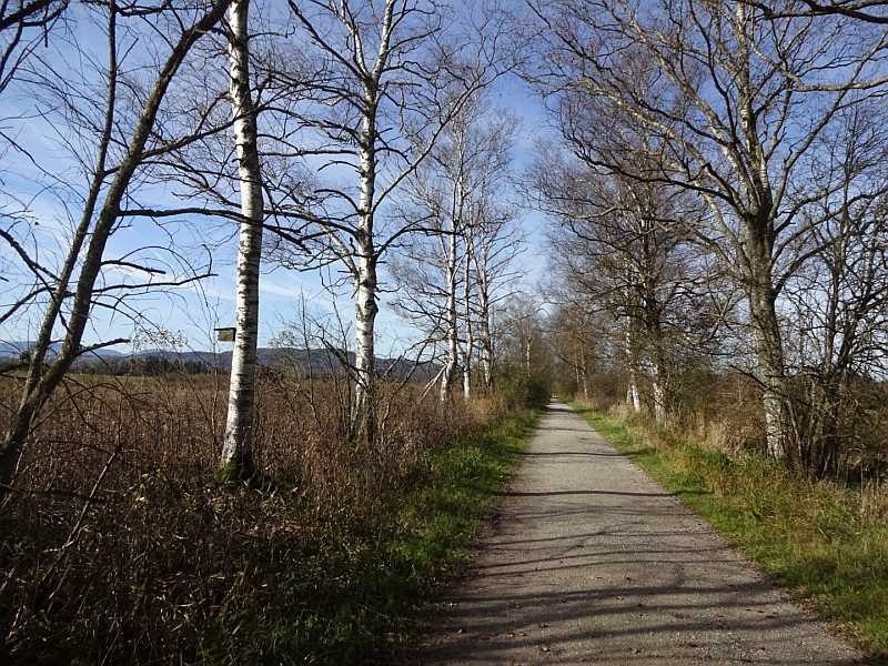 Moosrundweg 1, © Tölzer Land Tourismus Moosrundweg 1, © Tölzer Land Tourismus