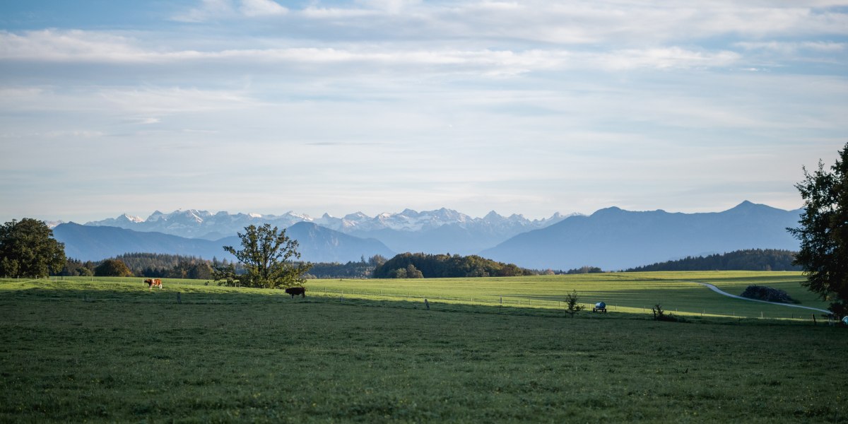 Alpenvorland im Blick, © Thomas Anton Binder Alpenvorland im Blick, © Thomas Anton Binder