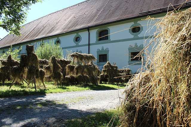 Bild 1 Bild 1