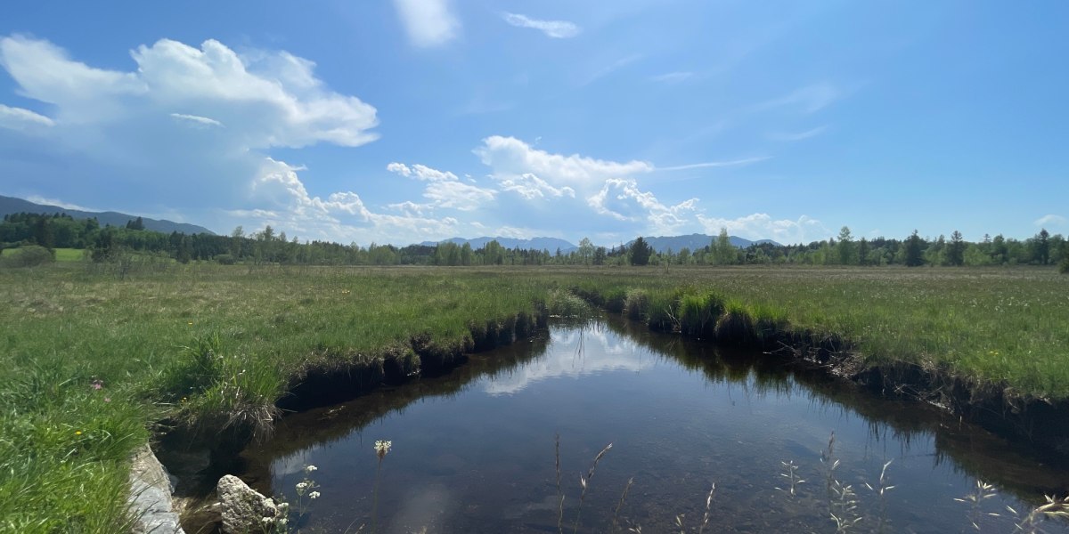 im Ellbacher Moor bei Bad Tölz, © Hochschule München im Ellbacher Moor bei Bad Tölz, © Hochschule München