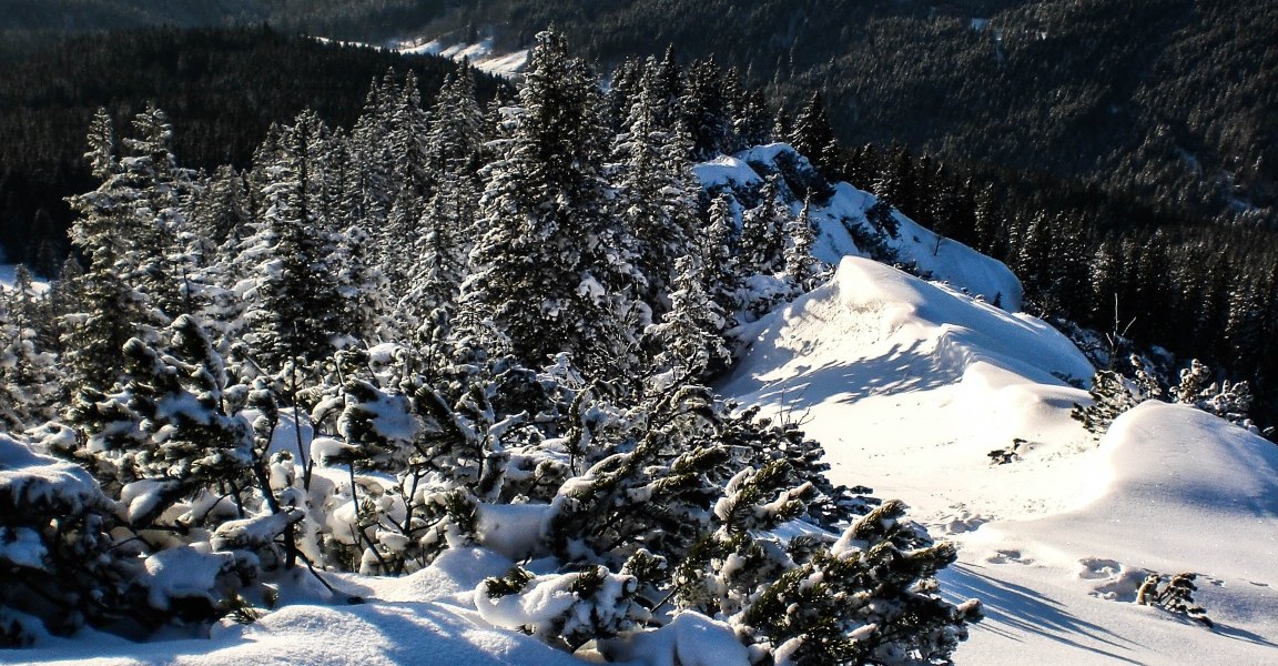 Spitzkamp mit Blick auf Lenggries, © Tourismus Lenggries Spitzkamp mit Blick auf Lenggries, © Tourismus Lenggries