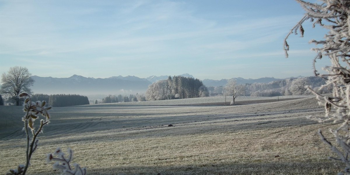 DSCF0624 DSCF0624