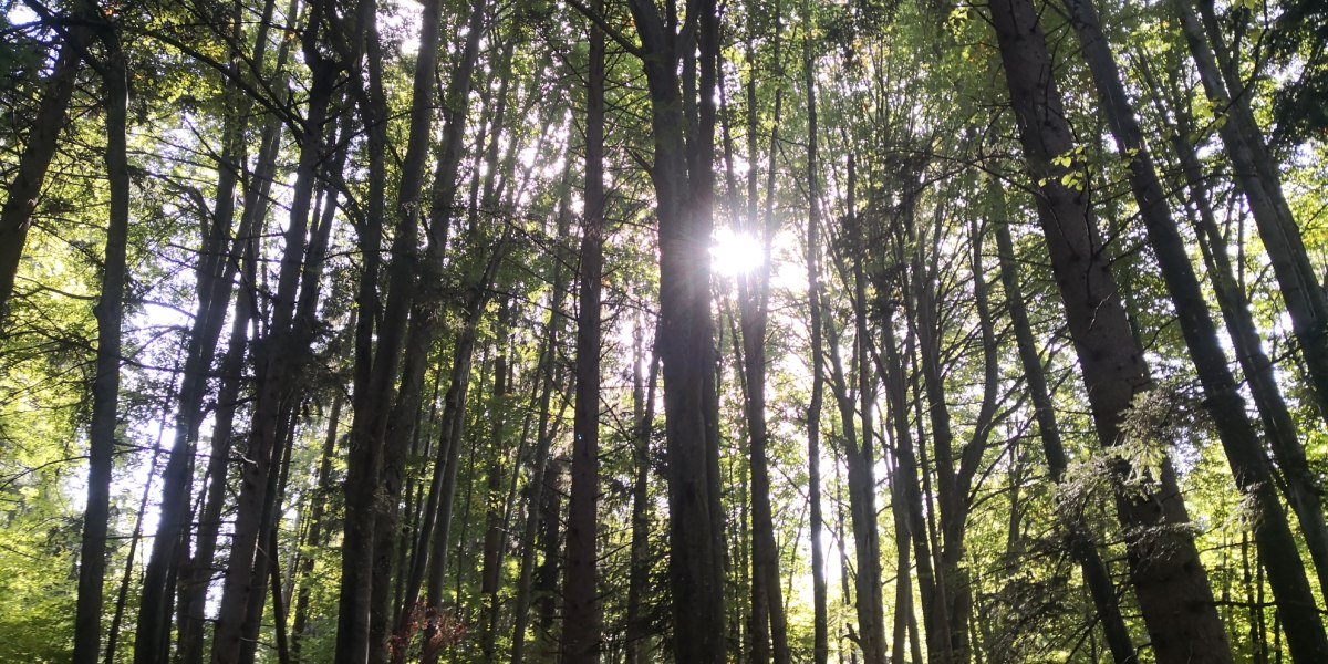 Lainbach Wasserfall Runde, © Tourist Information Kochel a. See Lainbach Wasserfall Runde, © Tourist Information Kochel a. See