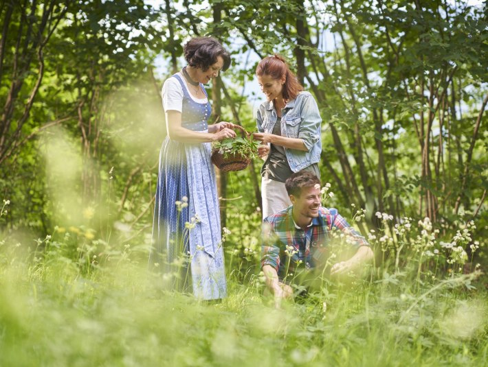 Lernen Sie eine wahren Schatz der Natur kennen bei den Kräuterwanderungen mit zertifizierten Kräuterpädagoginnnen, © Tölzer Land Tourismus/Stadt Bad Tölz|Jan Greune Lernen Sie eine wahren Schatz der Natur kennen bei den Kräuterwanderungen mit zertifizierten Kräuterpädagoginnnen, © Tölzer Land Tourismus/Stadt Bad Tölz|Jan Greune