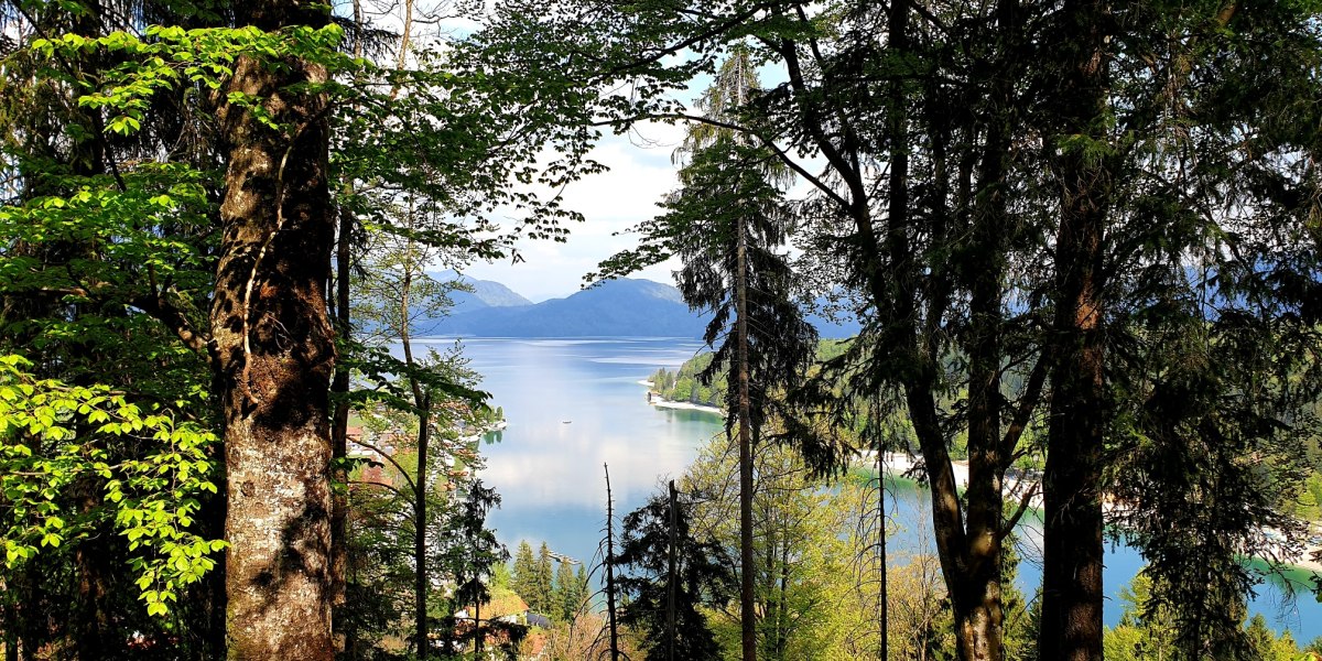 Aussicht vom Gamsreibnweg über den Walchensee, © Tourist Information Kochel a. See Aussicht vom Gamsreibnweg über den Walchensee, © Tourist Information Kochel a. See