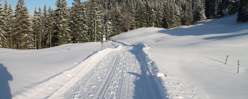 gewalzter Winterwanderweg zur Lenggrieser Hütte, © Lenggrieser Hütte gewalzter Winterwanderweg zur Lenggrieser Hütte, © Lenggrieser Hütte