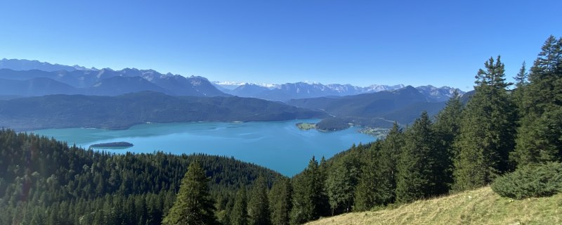 IMG_5742 IMG_5742