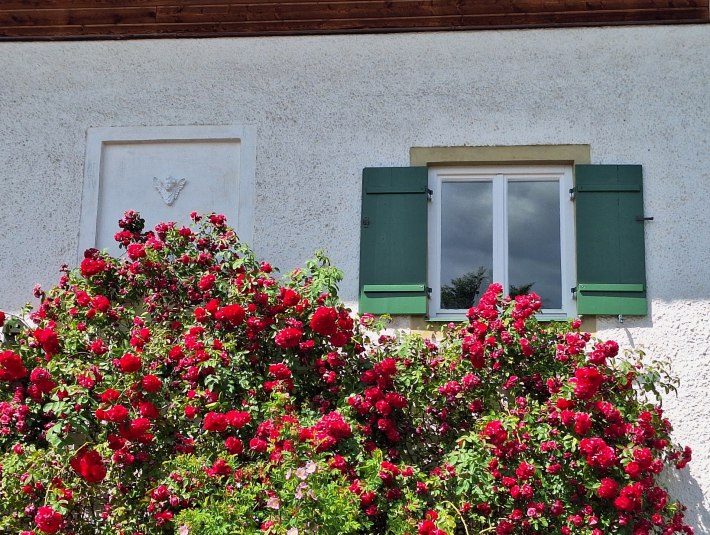 &Uuml;ppig tie f rot bl&uuml;hende Rosen an der Hauswand, &copy; Landratsamt Bad T&ouml;lz-Wolfratshausen, Dollinger