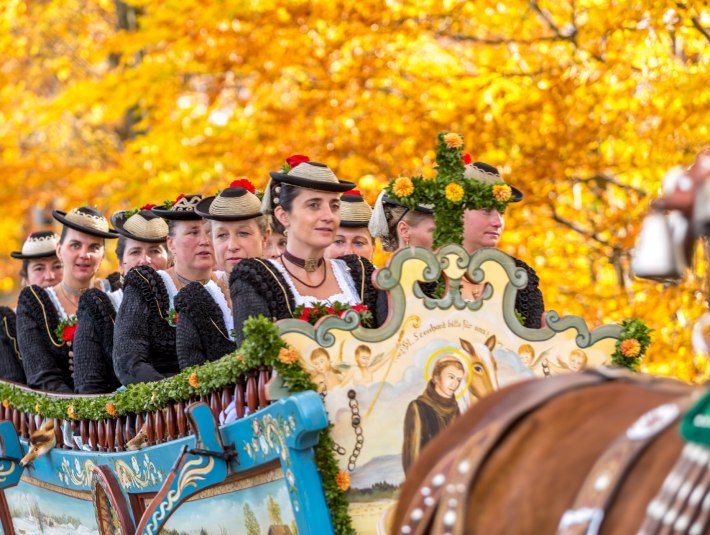Pr&auml;chtig geschm&uuml;ckte Pferdegespanne und Frauen in Tracht bei der Wallfahrt zu Ehren des Hl. Leonhard in Bad T&ouml;lz vor B&auml;umen, die golden vom Herbstlaub leuchten, &copy; T&ouml;lzer Land Tourismus|Harald K&uuml;bler