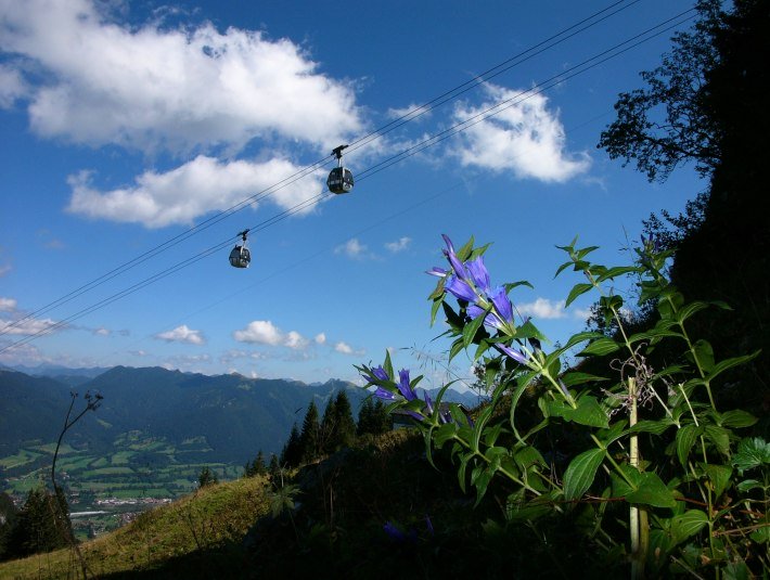 Brauneck Bergbahn, © Brauneck Bergbahn | Foto Klaus Knirk