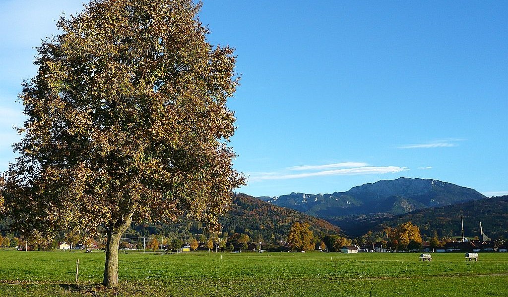 Wiesenweg zwischen Bichl und Benediktbeuern, © Tölzer Land Tourismus
