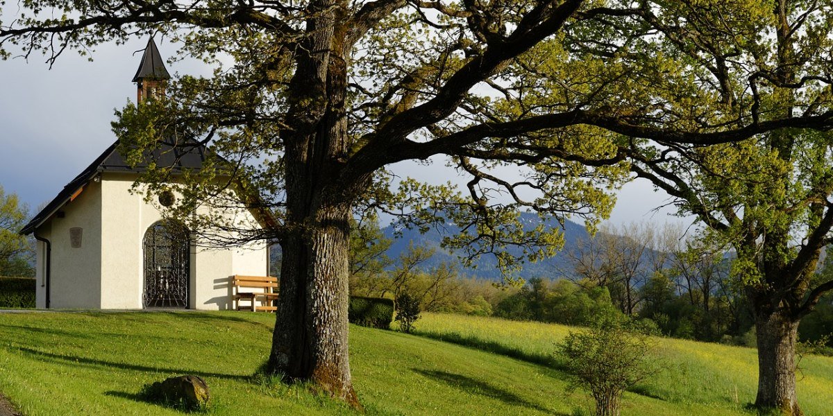 Die Barbarakapelle Hohenbirken: kleine wei&szlig;e Kapelle mit Bank neben einer riesigen alten Eiche auf gr&uuml;ner Wiese; im Hintergrund sanfte H&uuml;gel und blauer Himmel., &copy; Lisa Bahnm&uuml;ller