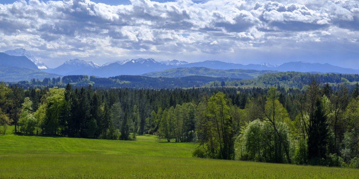 Sch&ouml;ne Aussicht bei Nantesbuch.
Gr&uuml;ne Wiese im Vordergrund, dahinter dichter Wald, sanfte H&uuml;gel und schneebedeckte Alpen unter dramatischen Wolken &ndash; weite, ruhige Fr&uuml;hlingslandschaft., &copy; Lisa Bahnm&uuml;ller
