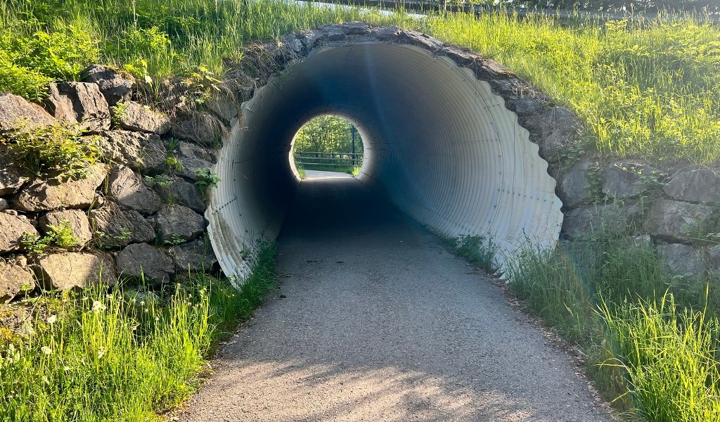Großes Vergnügen für kurze Beine - Sagenhaftes Wandern, © Fakultät für Tourismus - Hochschule München - Digitales Marketing & Management