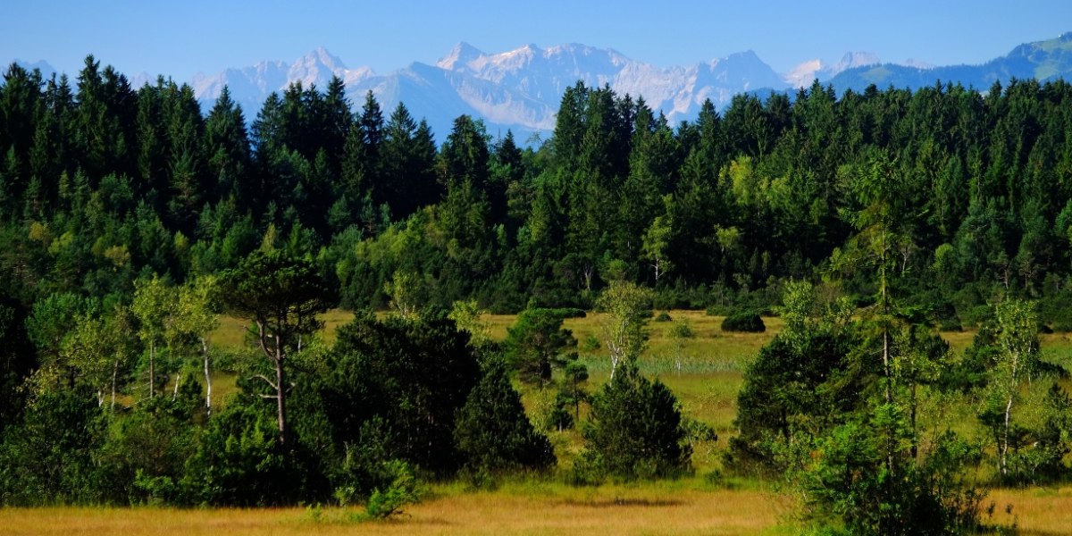 Ellbacher Moor (HK29), &copy; T&ouml;lzer Land Tourismus
