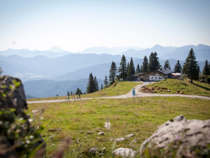 H&ouml;henweg am Brauneck, &copy; Adrian Greiter