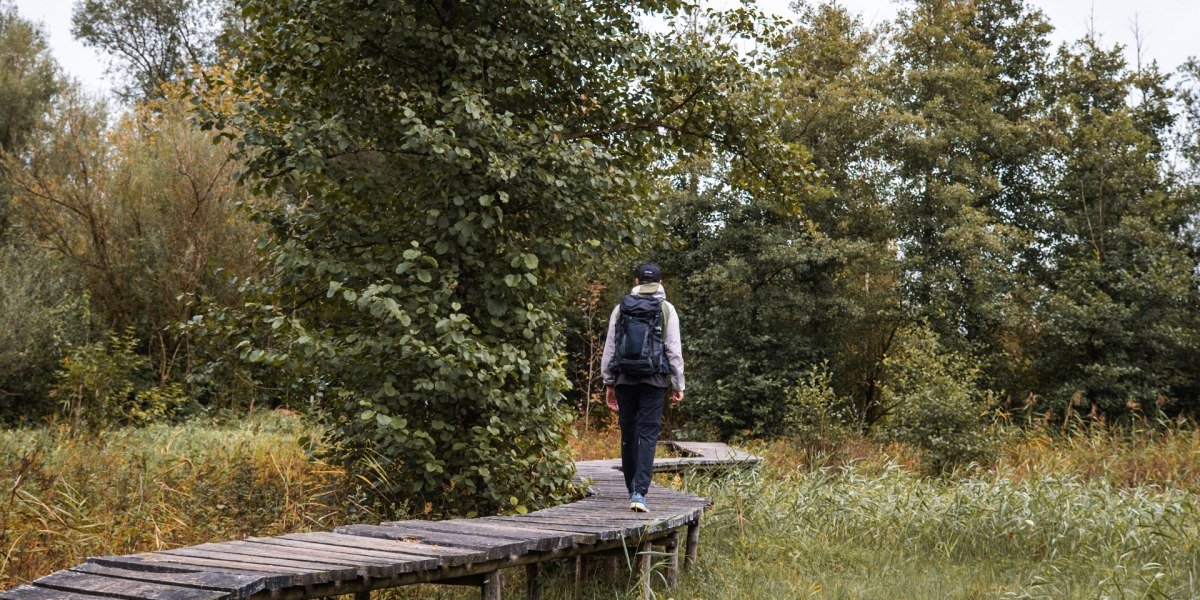 Auf dem Moor-Erlebnis-Pfad f&uuml;hrt einen der Weg auf Holzbohlen sicher durch das Loisach-Kochelsee-Moor., &copy; T&ouml;lzer Land  Tourismus|Christian Geigl