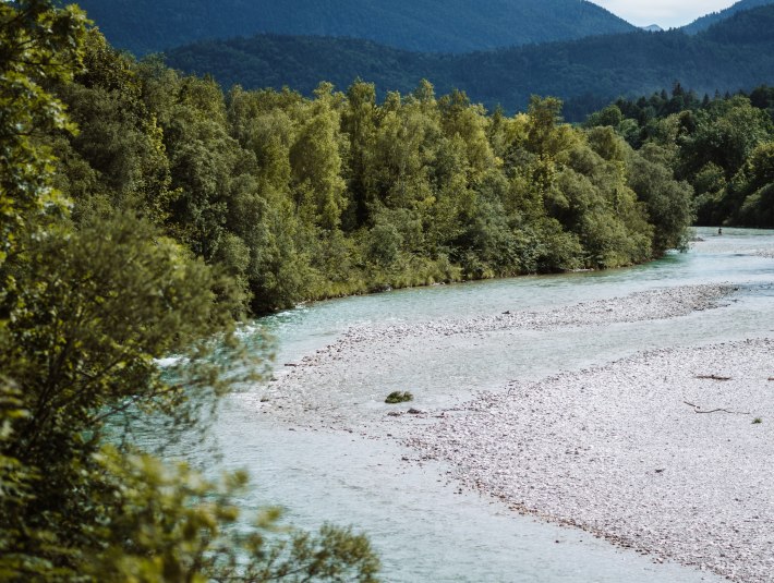 Isarauen, © Leonie Lorenz