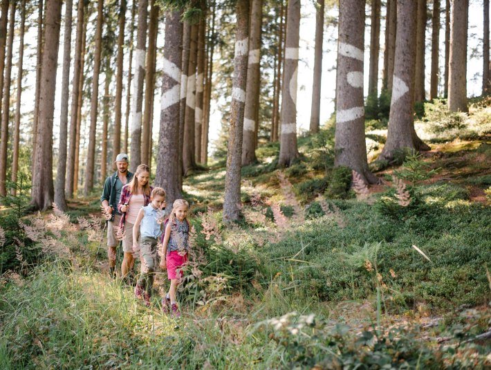 Kunstwanderweg Sinneswandel, &copy; T&ouml;lzer Land Tourismus / Foto Leonie Lorenz
