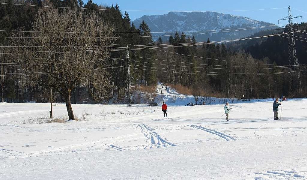 Loipe mit Benediktenwand im Hintergrund, © Tölzer Land Tourismus