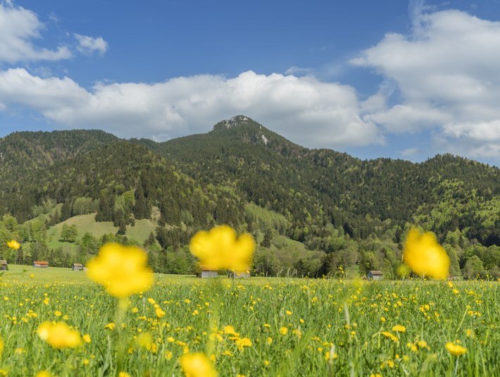 Blick auf Geierstein, © Tourismus Lenggries