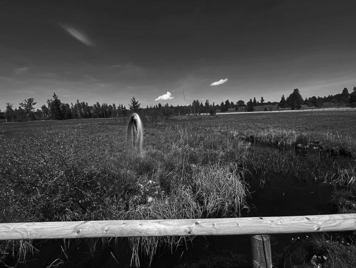 Kapitel 6 - Moorweiblein, &copy; Fakult&auml;t f&uuml;r Tourismus - Hochschule M&uuml;nchen - Digitales Marketing & Management