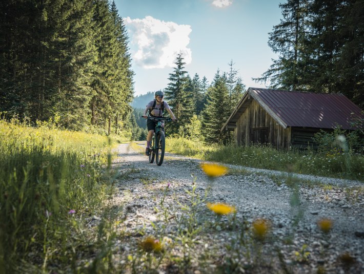 Radfahrerin auf Forststra&szlig;e, &copy; Teresa Kimmel