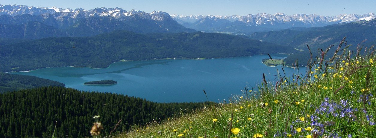 Almwiese mit Walchenseeblick, &copy; TI Walchensee|Fotograf: Paul Wolf