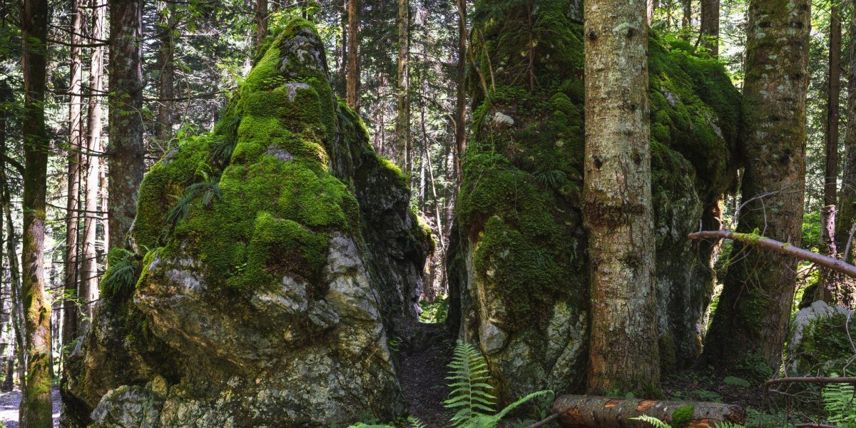 In den Spuren der Schatzsucher auf die Probstenwand, &copy; Fakult&auml;t f&uuml;r Tourismus - Hochschule M&uuml;nchen - Digitales Marketing & Management