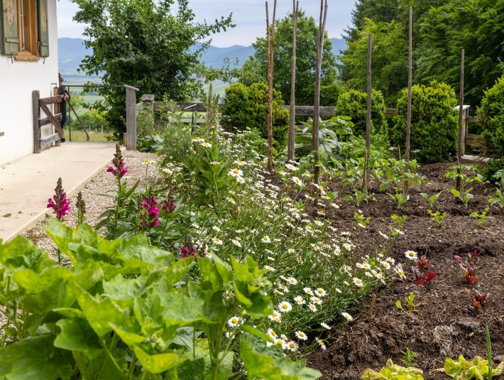 Ein Bauerngarten mit Blumen und Gem&uuml;se, &copy; Bezirk Oberbayern, FLM Glentleiten, Foto Sauer