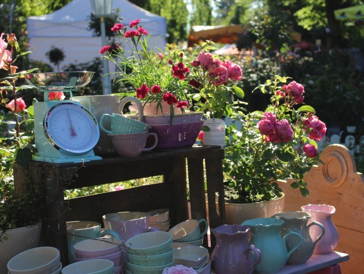 T&ouml;lzer Rosentage, &copy; TI Bad T&ouml;lz