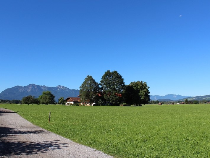 Moosweg bei Benediktbeuern, &copy; T&ouml;lzer Land Tourismus
