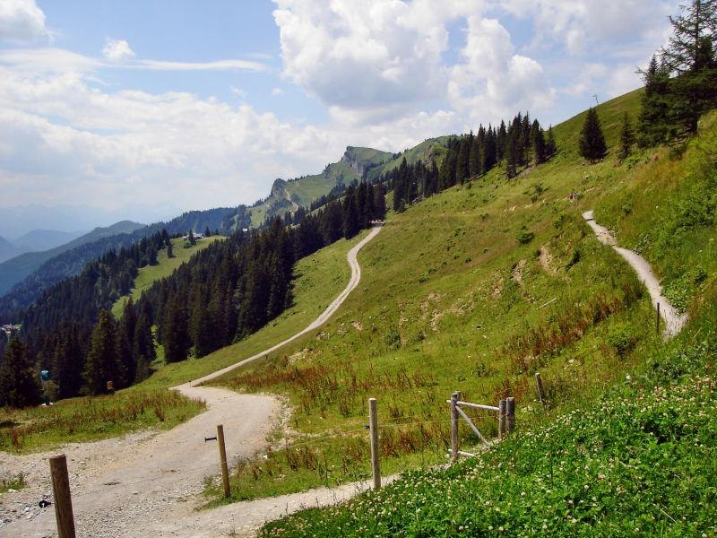 Bergtour von Lenggries auf das Brauneck über Kotalm, © Community