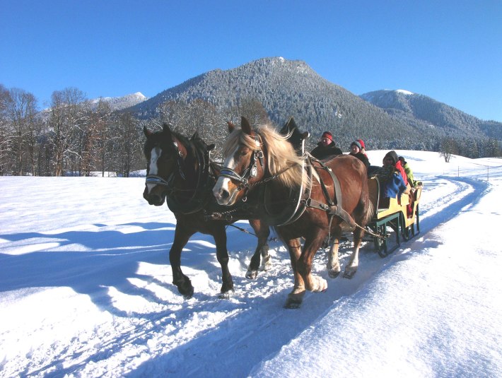 Pferdeschlittenfahrt, © Tölzer Land Tourismus Foto: Klaus Knirk