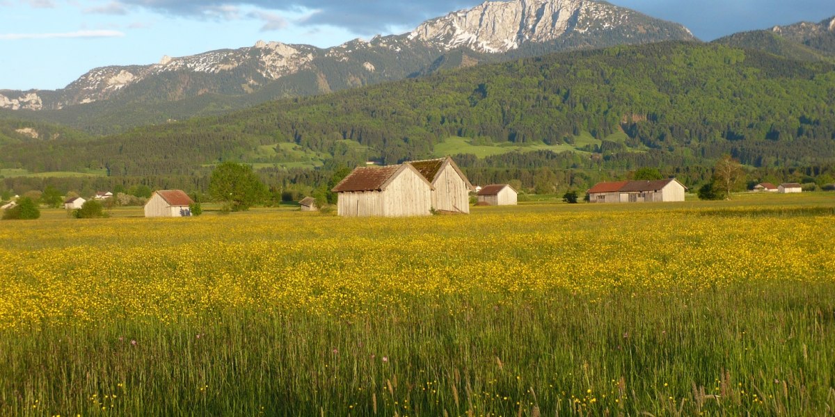 Rückweg durchs Loisach-Kochelsee-Moor, © Tölzer Land Tourismus