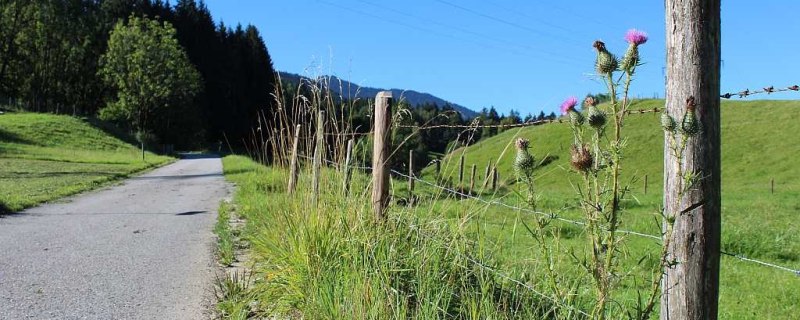 H&ouml;henweg bei Mariabrunn, &copy; T&ouml;lzer Land Tourismus