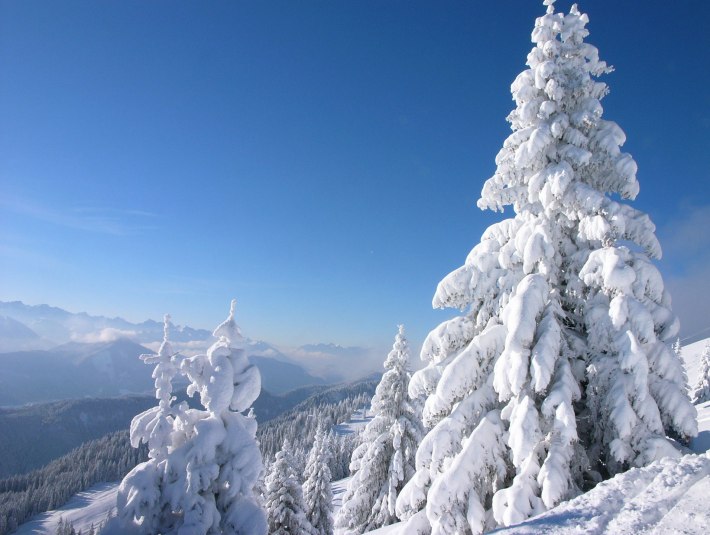 Brauneck Winterzauber, © Tölzer Land Tourismus Foto: Klaus Knirk