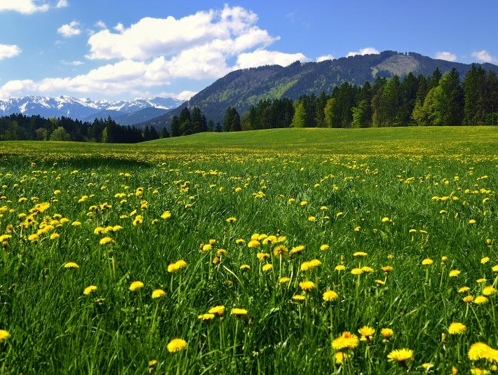 Gemeinde Wackersberg, © Gemeinde Wackersberg / Fotograf: Hirz