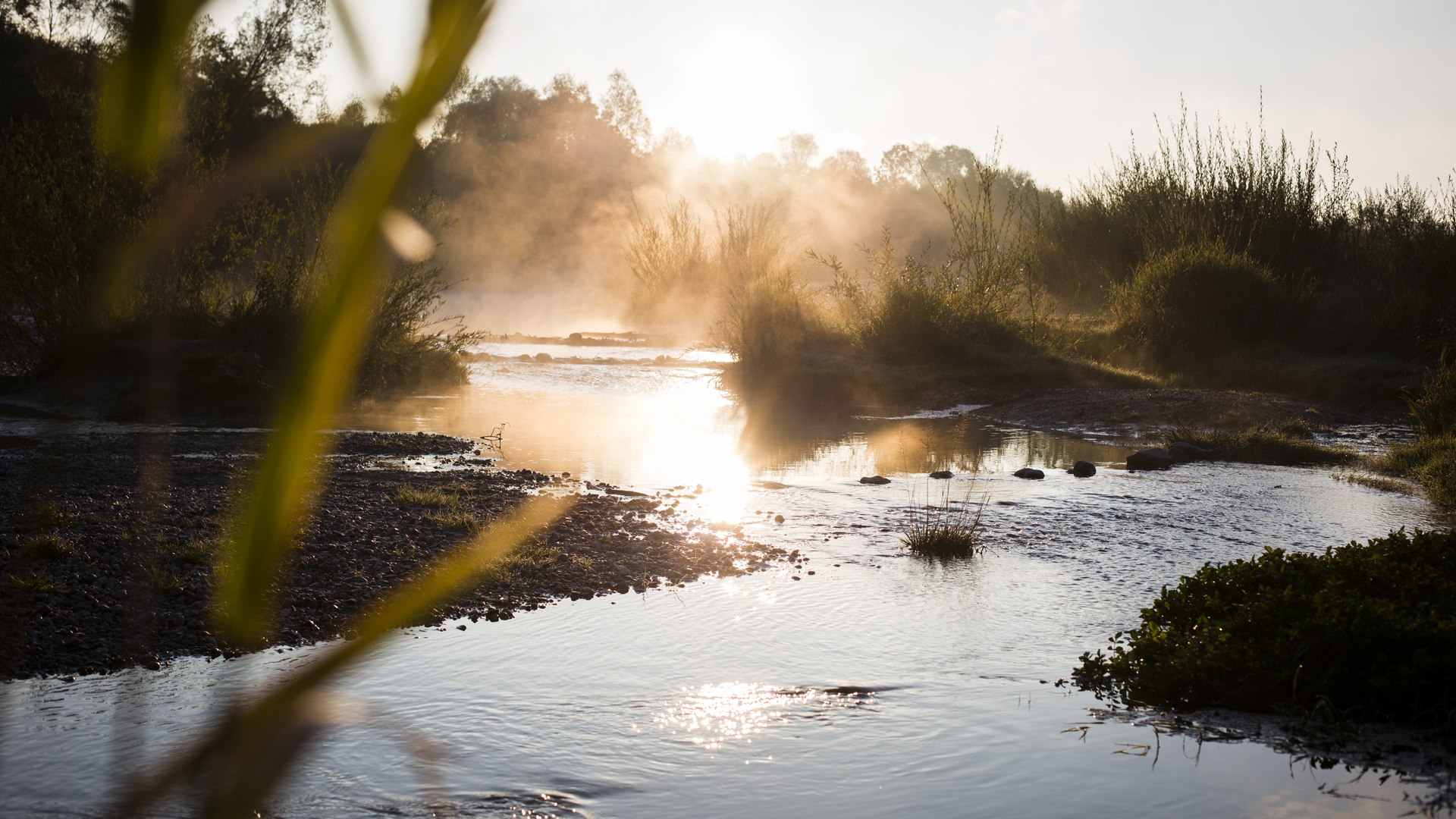 Morgenstimmung am Flußufer, © Stadt Geretsried