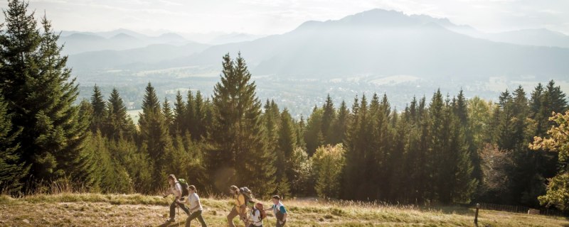 Wandergruppe auf dem Weg zur Denkalm, &copy; Tourismus Lenggries