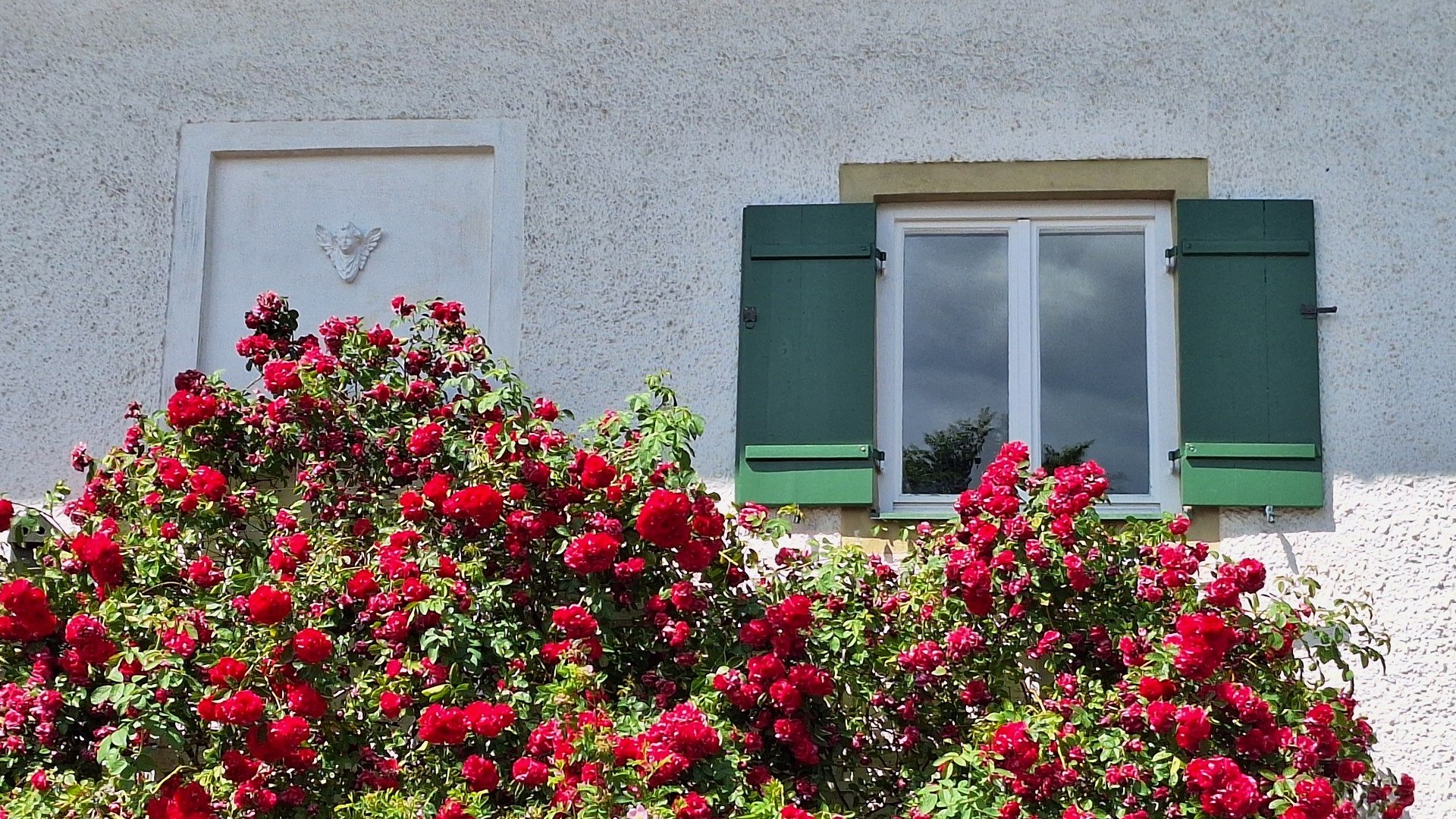 &Uuml;ppig tie f rot bl&uuml;hende Rosen an der Hauswand, &copy; Landratsamt Bad T&ouml;lz-Wolfratshausen, Dollinger