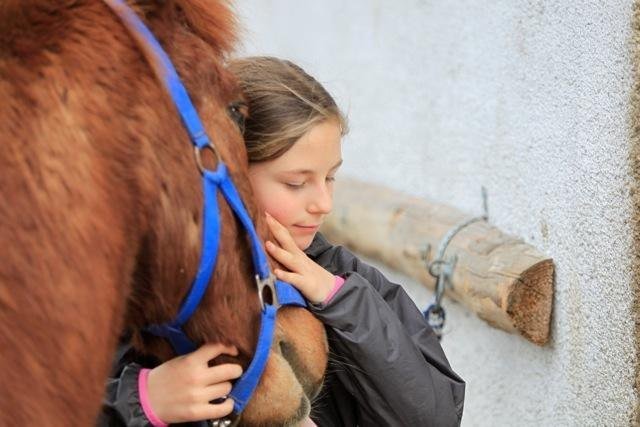 Bild 1, &copy; Alma Drumbl