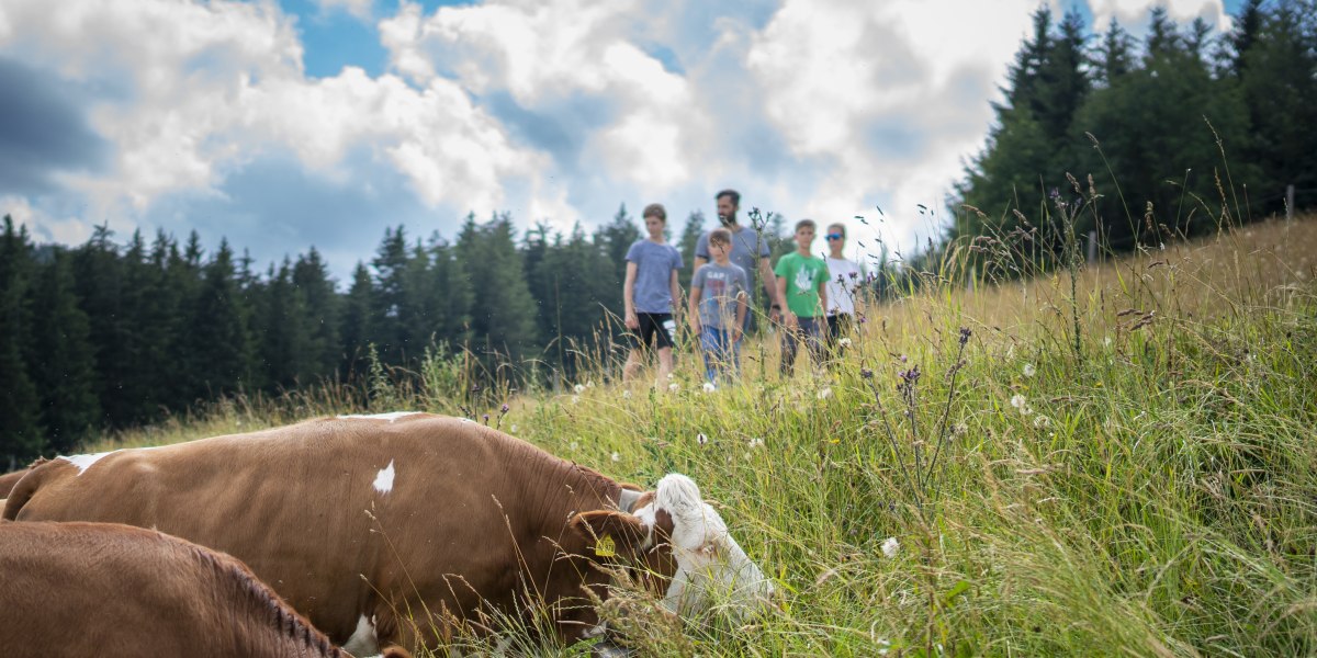 Blomberg, © Stadt Bad Tölz