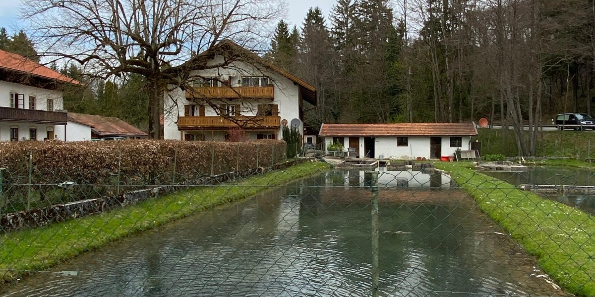 Einer der Fischteiche des Forellenhofs Walgerfranz, &copy; Hochschule M&uuml;nchen
