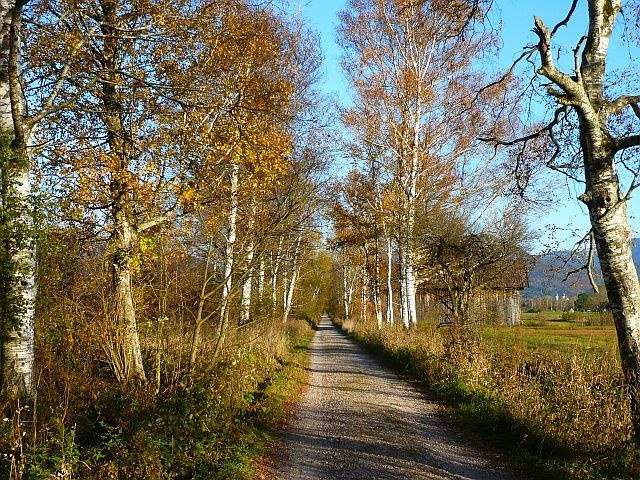 Moos im Herbst, © Gästeinformation Benediktbeuern