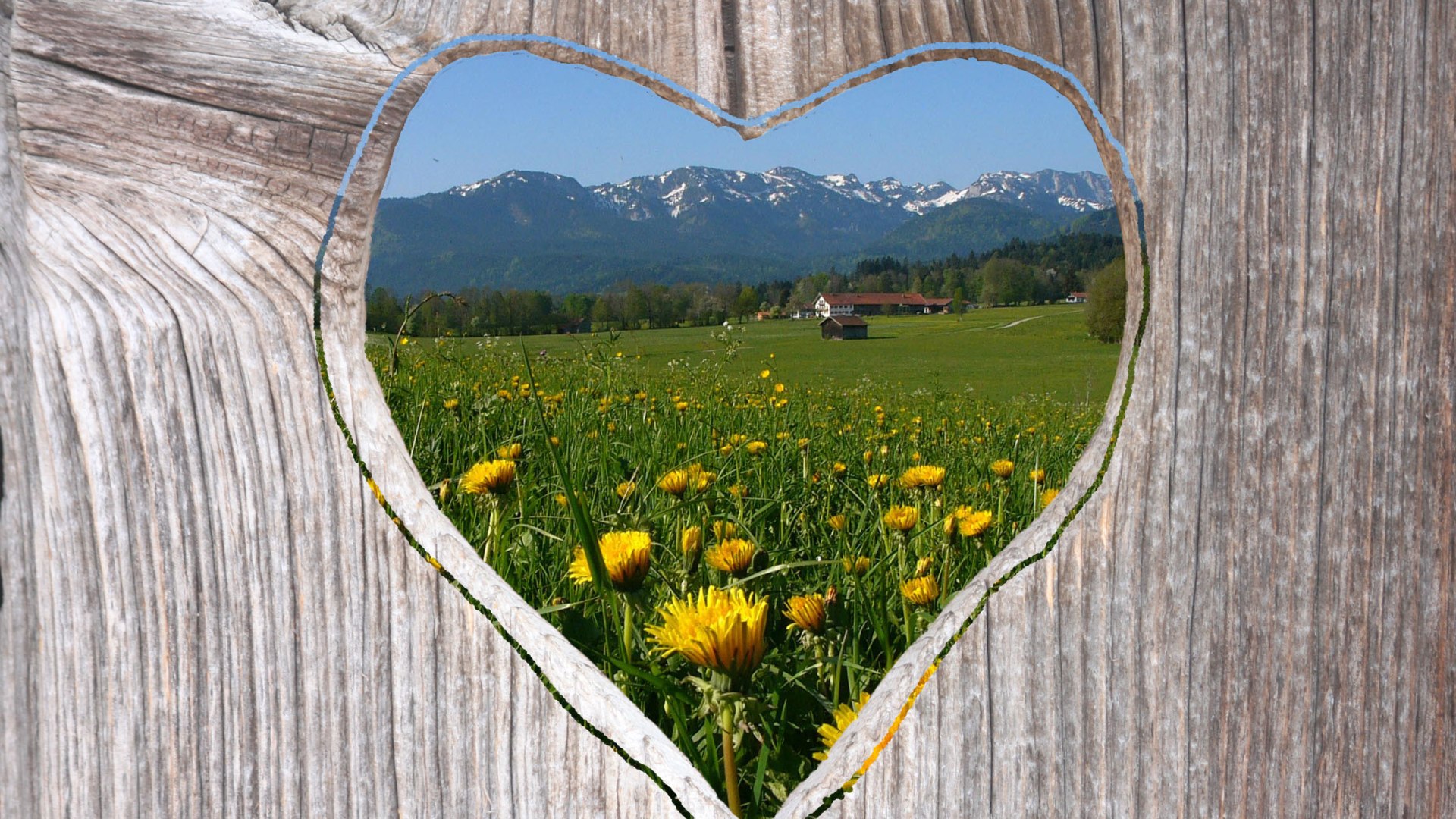 Heimatliebe, &copy; T&ouml;lzer Land Tourismus