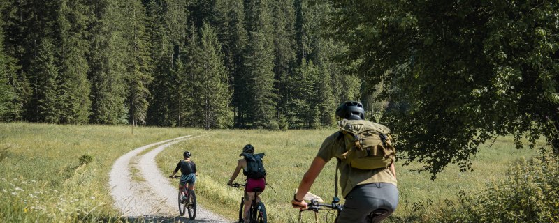 drei Radfahrer fahren auf eine Lichtung, &copy; Teresa Kimmel