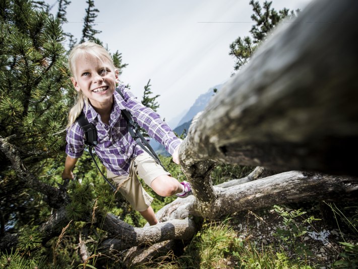 über Stock und Stein, © Tölzer Land Tourismus