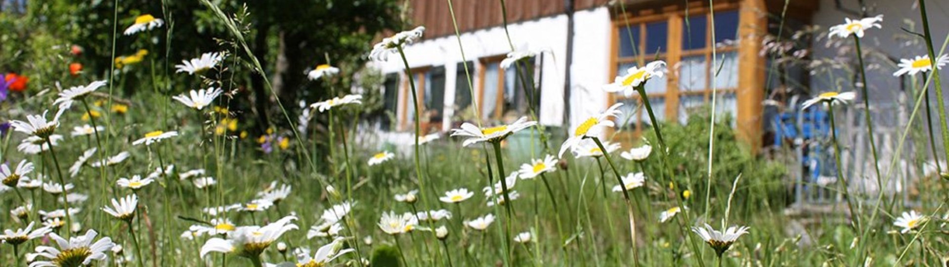 Renate Dosch, © Gästehaus Isarau, Lenggries