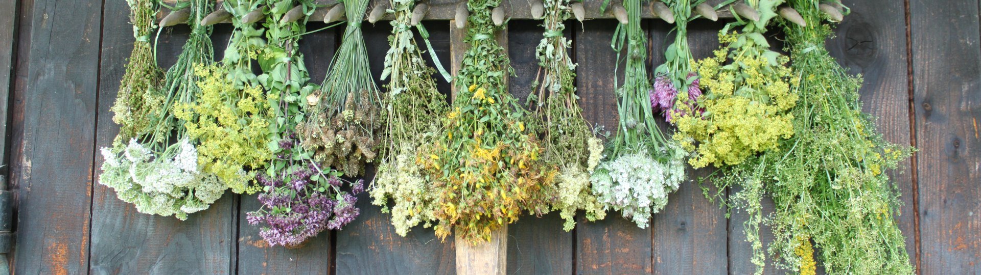 Kr&auml;uterb&uuml;schel beim Trocknen, &copy; T&ouml;lzer Land Tourismus|J. Kirschenhofer